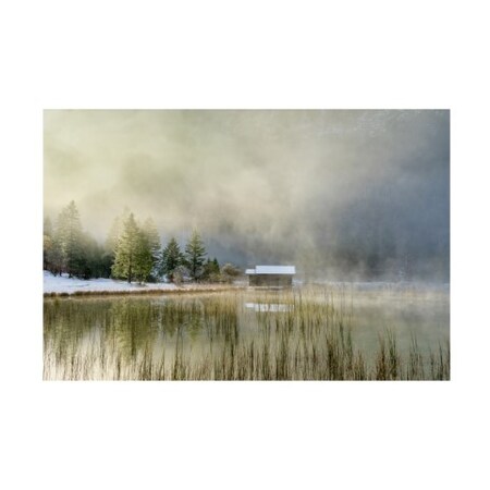 Trademark Fine Art Anne Schneidersmann 'First Touch of Snow' Canvas Art, 22x32 IC02450-C2232GG